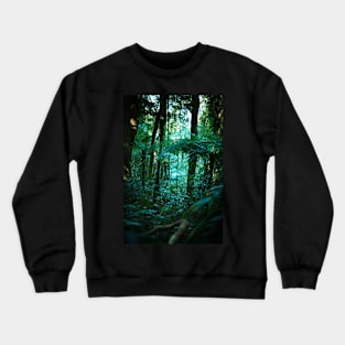 Bar Mountain Walk Crewneck Sweatshirt